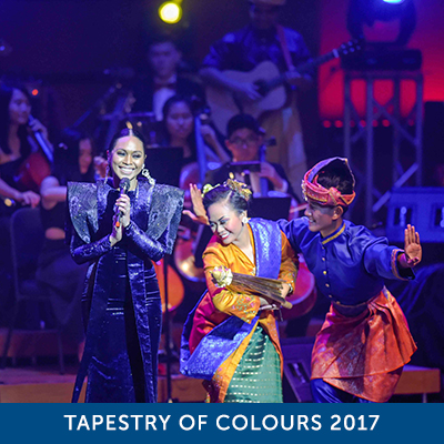 Tapestry of Colours 2017